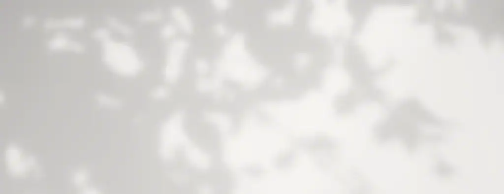 Alt text: Abstract blurred shadow of leaves on light background, representing innovation in the Middle East.